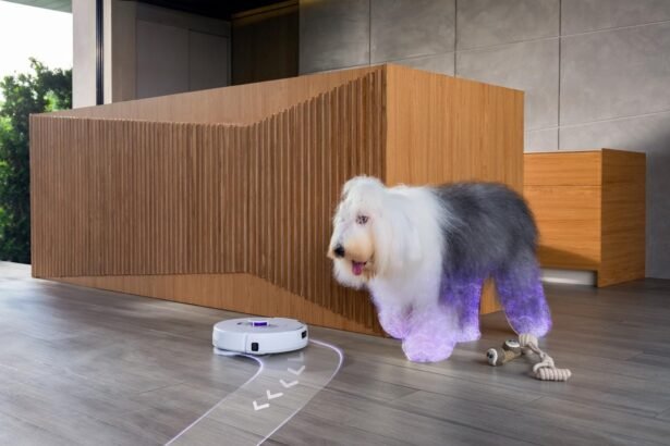 Robot Vacuums